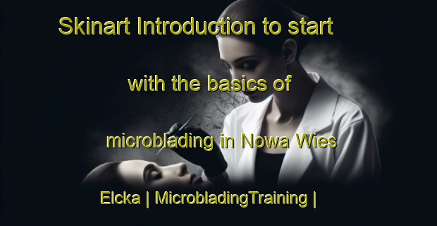 Skinart Introduction to start with the basics of microblading in Nowa Wies Elcka | MicrobladingTraining | MicrobladingClasses | SkinartTraining-Poland